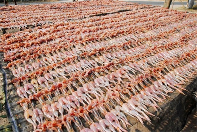 Khô nhái rất giàu chất dinh dưỡng Khô nhái rất giàu chất dinh dưỡng