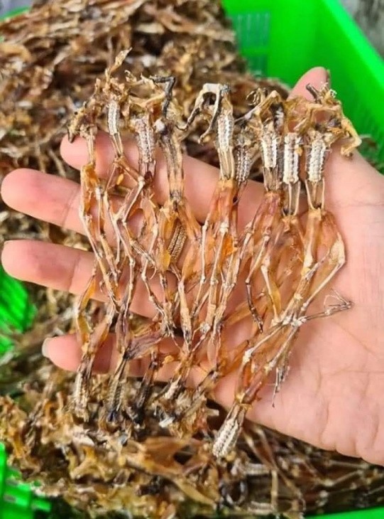 Để bảo quản khô được từ 6 tháng đến 1 năm cần đóng gói khô bằng cách hút chân không trong ngăn đông tủ lạnh Để bảo quản khô được từ 6 tháng đến 1 năm cần đóng gói khô bằng cách hút chân không trong ngăn đông tủ lạnh