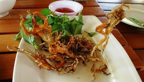 Đệ nhất đặc sản miền Tây – Vũ nữ chân dài Đệ nhất đặc sản miền Tây – Vũ nữ chân dài