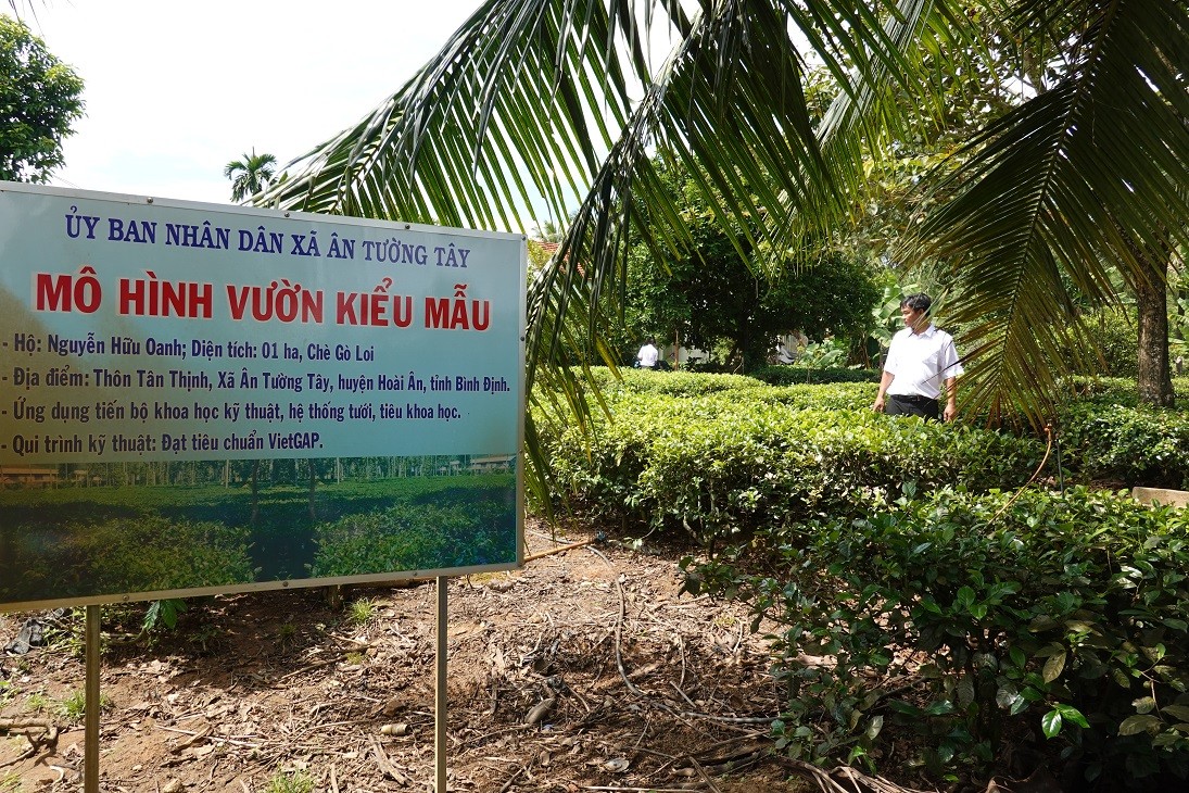 Bình Định: Hoài Ân hướng tới Ngày hội nông sản Bình Định: Hoài Ân hướng tới Ngày hội nông sản