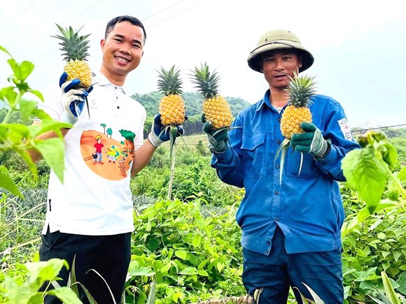 Khới nghiệp từ lá dứa