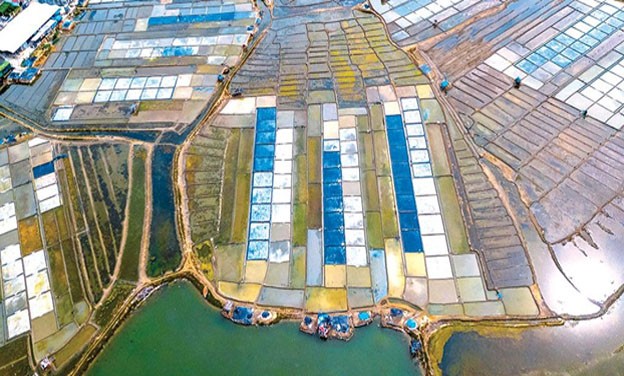 Nghề làm muối ở Sa Huỳnh, phường Phổ Thạnh (TX.Đức Phổ) có từ lâu đời, nên có nhiều lợi thế để phát triển du lịch.  Ảnh: Đoàn Vương Quốc