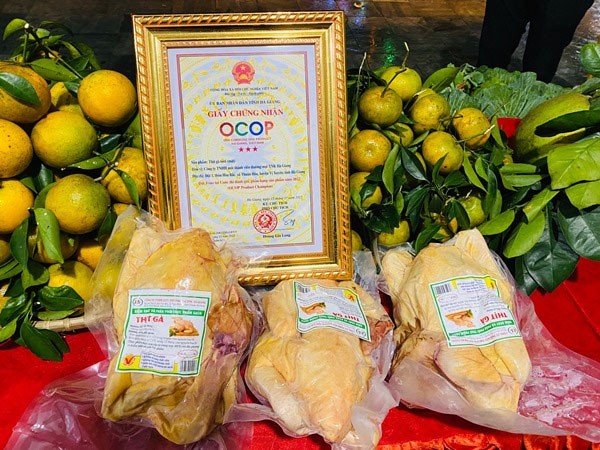 Thịt gà tươi, sản phẩm OCOP dạt tiêu chuẩn 3 sao cấp tỉnh của Công ty THHH Xuất nhập khẩu Hà Giang Thịt gà tươi, sản phẩm OCOP dạt tiêu chuẩn 3 sao cấp tỉnh của Công ty THHH Xuất nhập khẩu Hà Giang