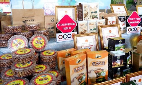 Sản phẩm OCOP phát triển từ những tiềm năng, lợi thế của địa phương