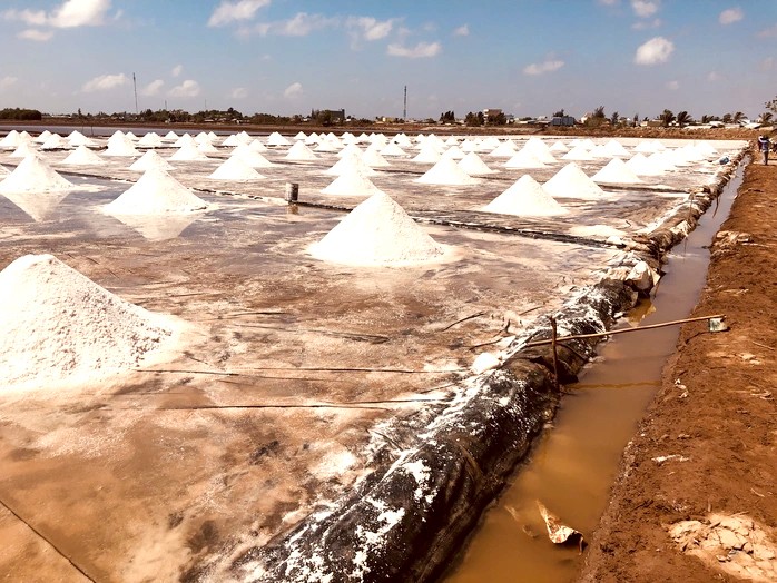 Mặn mòi vị muối Bạc Liêu Mặn mòi vị muối Bạc Liêu