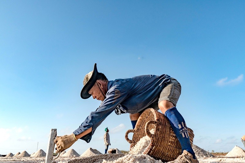 Mặn mòi vị muối Bạc Liêu