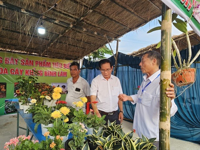 Bình Định: Tuy Phước tổ chức Phiên chợ giới thiệu sản phẩm OCOP Bình Định: Tuy Phước tổ chức Phiên chợ giới thiệu sản phẩm OCOP
