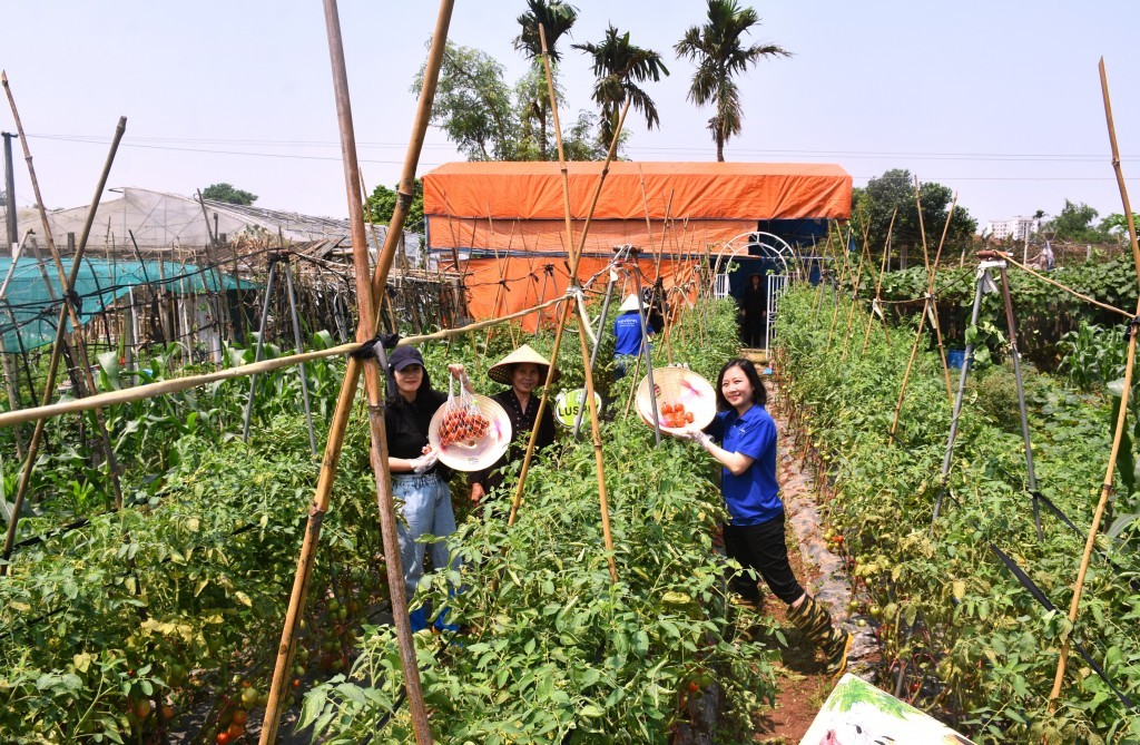 Sự thay đổi của vùng đất bãi thành điểm du lịch cộng đồng Sự thay đổi của vùng đất bãi thành điểm du lịch cộng đồng