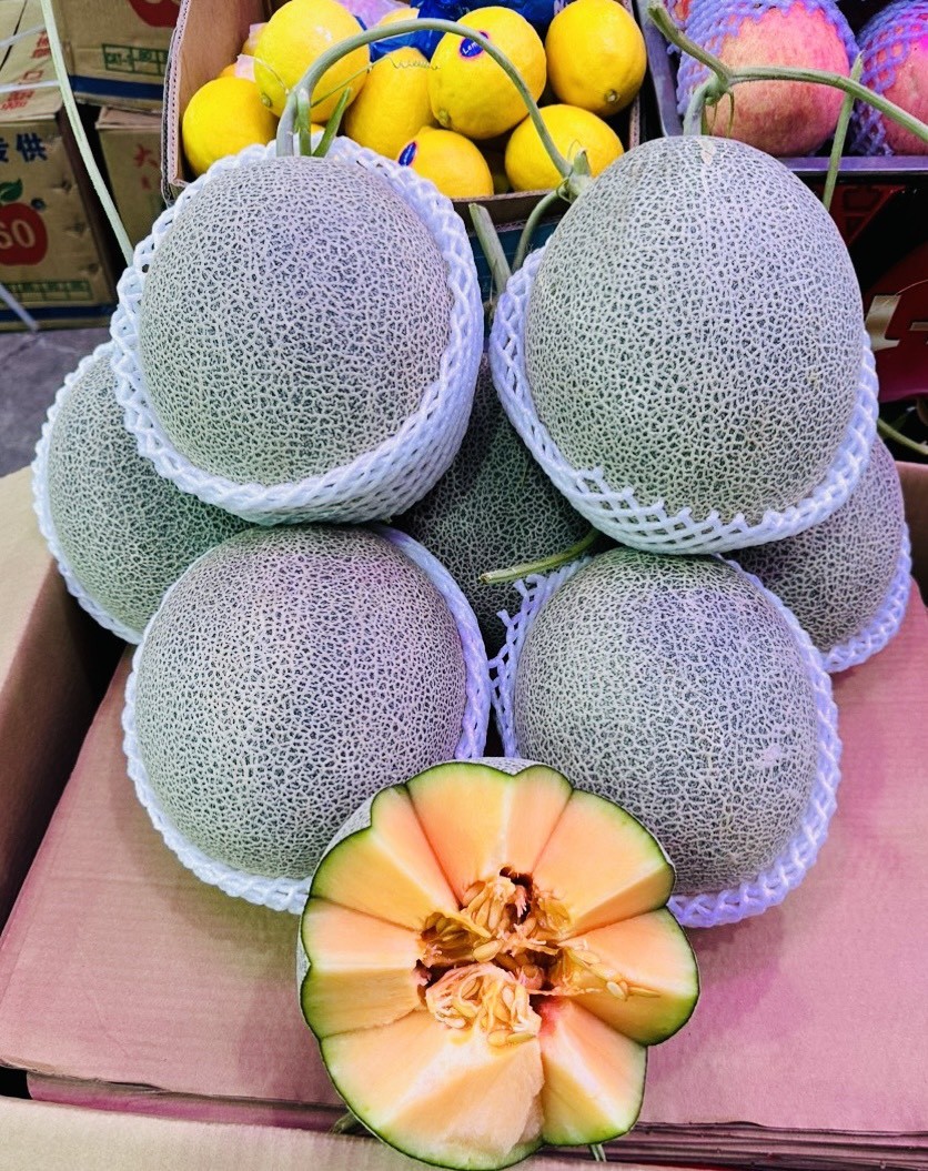 Dưa lưới Thắng Tân: Nói không với thực phẩm bẩn, không rõ nguồn gốc Dưa lưới Thắng Tân: Nói không với thực phẩm bẩn, không rõ nguồn gốc