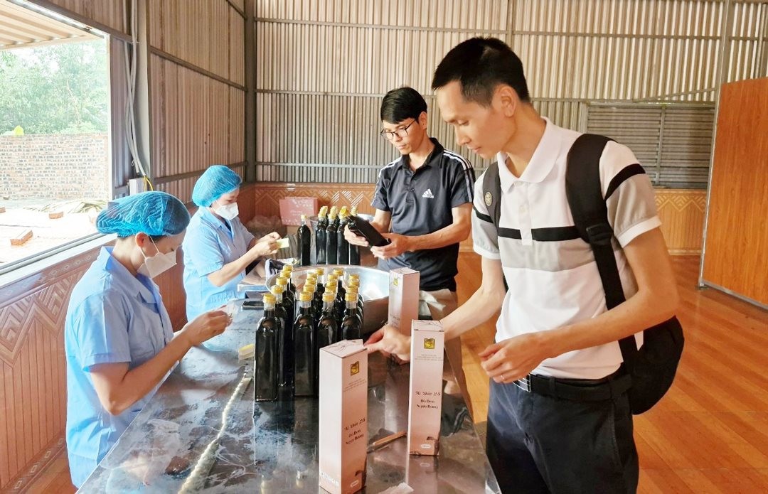 Người tiêu dùng tìm hiểu sản phẩm nước xì dầu 2S đậu đen - ngưu bàng của Hợp tác xã Bảo tồn và Phát triển dược liệu Sóc Sơn (huyện Sóc Sơn). Ảnh: Hoàng Sơn Người tiêu dùng tìm hiểu sản phẩm nước xì dầu 2S đậu đen - ngưu bàng của Hợp tác xã Bảo tồn và Phát triển dược liệu Sóc Sơn (huyện Sóc Sơn). Ảnh: Hoàng Sơn