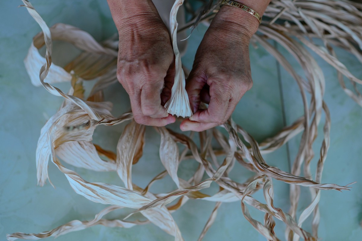 Theo những người chằm nón tại đây, lá chằm nón phải là lá non vừa độ, gân lá xanh, màu lá trắng. Sau khi mua về, lá mật cật sẽ đem đi luộc chín, phơi nắng, phơi sương 2 ngày rồi vuốt thẳng Theo những người chằm nón tại đây, lá chằm nón phải là lá non vừa độ, gân lá xanh, màu lá trắng. Sau khi mua về, lá mật cật sẽ đem đi luộc chín, phơi nắng, phơi sương 2 ngày rồi vuốt thẳng