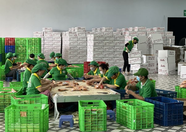 Hoài nhơn (Bình Định): Phát triển sản phẩm OCOP Hoài nhơn (Bình Định): Phát triển sản phẩm OCOP