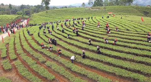 Lào Cai: Tăng tốc hoàn thành xây dựng nông thôn mới