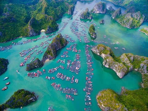 Thành phố hoa phượng đỏ