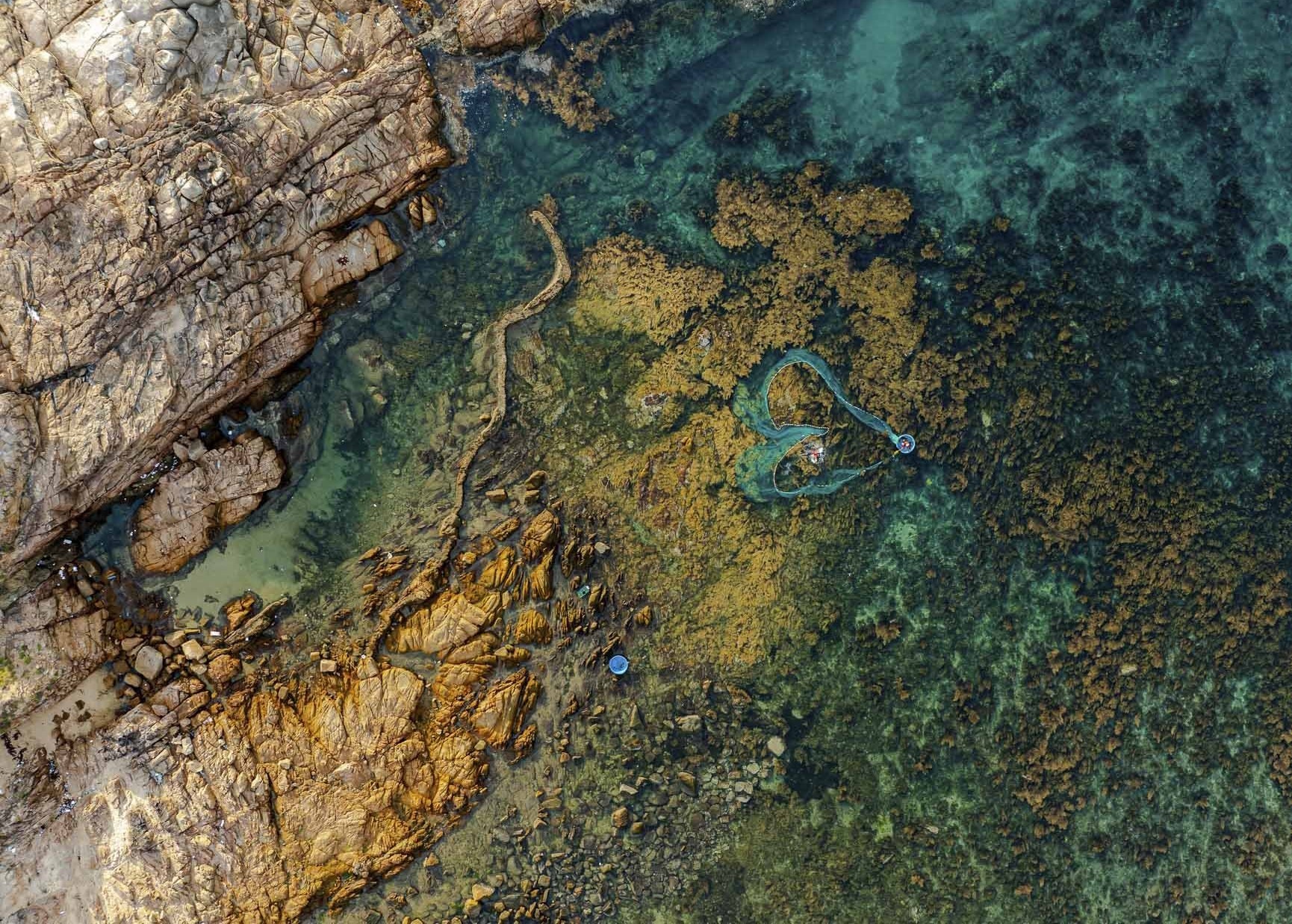 Bình Định: Phát triển du lịch cộng đồng tại xã Nhơn Hải Bình Định: Phát triển du lịch cộng đồng tại xã Nhơn Hải