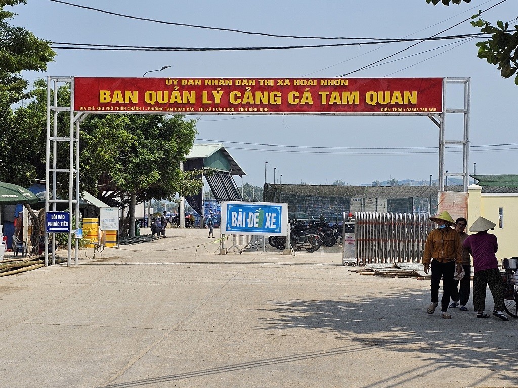 Bình Định: Xây dựng khu neo đậu tránh trú bão Tam Quan là cần thiết Bình Định: Xây dựng khu neo đậu tránh trú bão Tam Quan là cần thiết