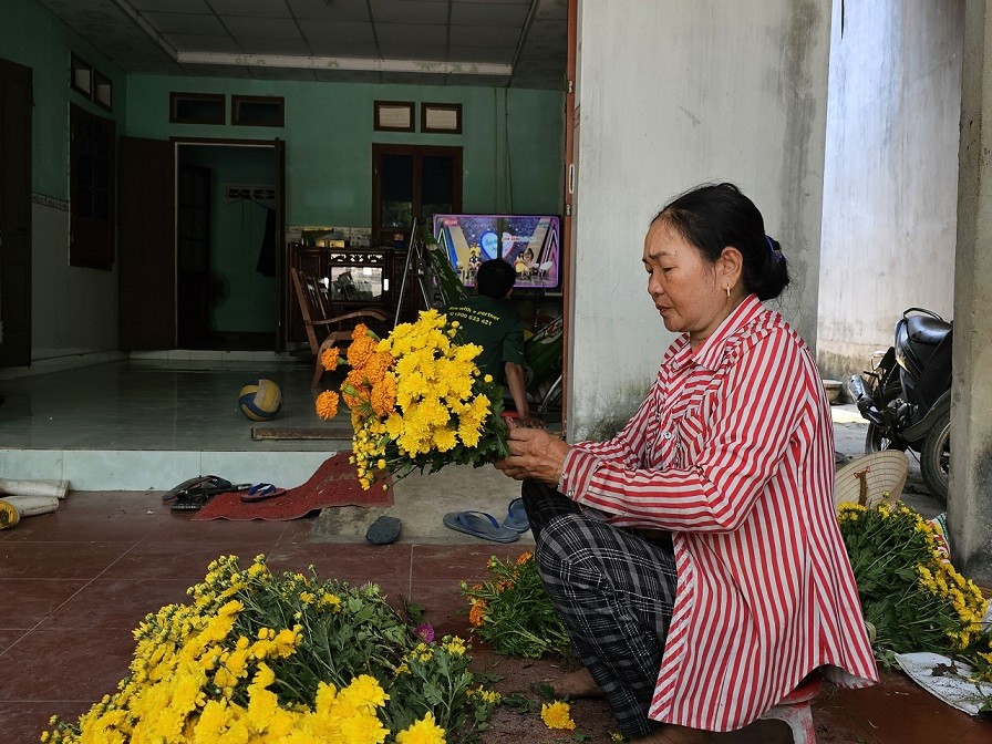 Bình Định: Làng nghề trồng hoa Gia An Nam nỗ lực để công nhận làng nghề