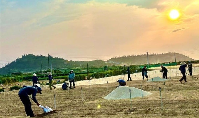 Đảo xanh giữa nắng hạ