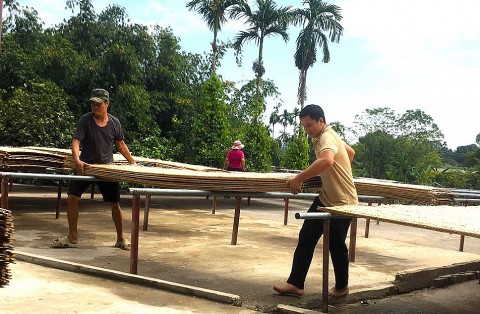 Sản phẩm OCOP 4 sao của làng nghề sản xuất miến đao Giới Phiên