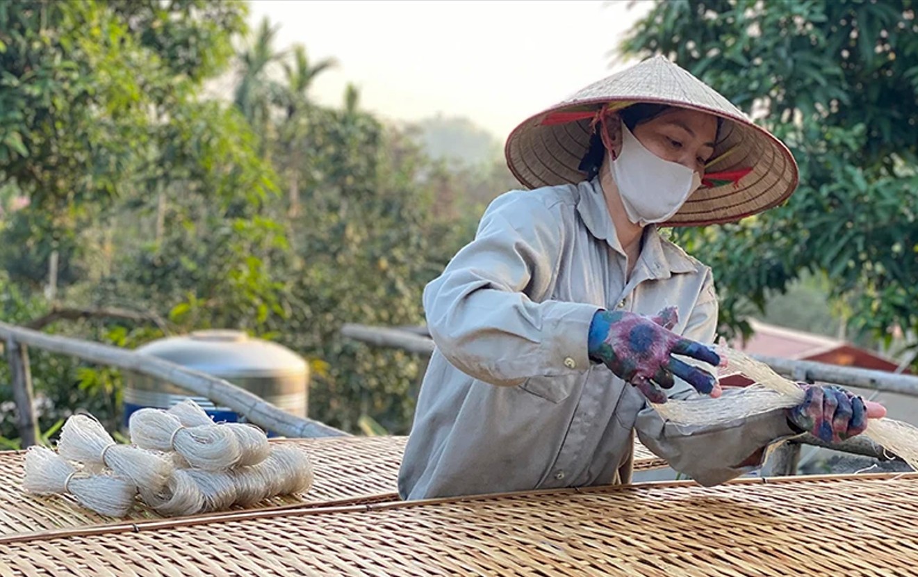 Sản phẩm OCOP 4 sao của làng nghề sản xuất miến đao Giới Phiên