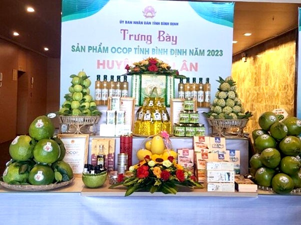 Sản phẩm OCOP huyện Hoài Ân Sản phẩm OCOP huyện Hoài Ân