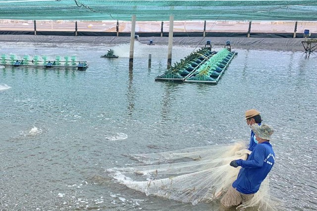 Bạc Liêu: Tạo đòn bẩy để cơ sở CNNT phát triển bền vững