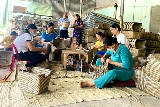 Sản xuất sản phẩm từ cói của HTX thủ công mỹ nghệ Tân Thọ (Nông Cống).