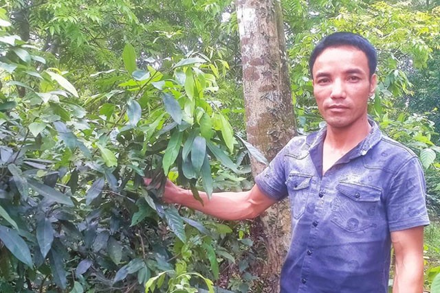 Anh Chu Văn Tình giới thiệu về vườn cây thuốc nam của gia đình Anh Chu Văn Tình giới thiệu về vườn cây thuốc nam của gia đình