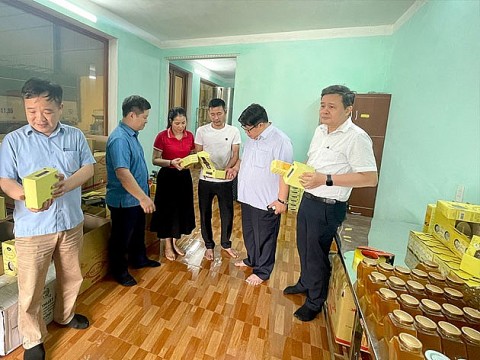 Tuyên Quang: Triển khai hiệu quả Chương trình khuyến công