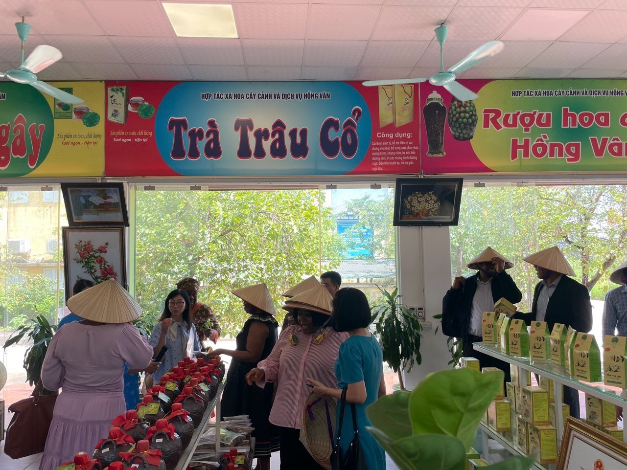 Trải nghiệm du lịch hấp dẫn tại làng sinh vật cảnh Hồng Vân