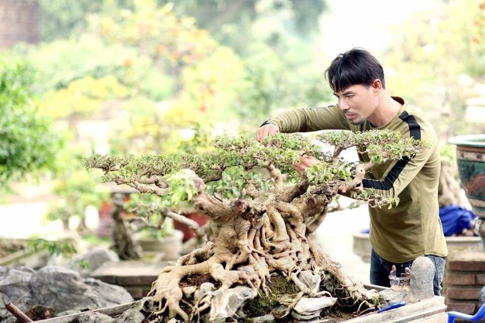 Trải nghiệm du lịch hấp dẫn tại làng sinh vật cảnh Hồng Vân