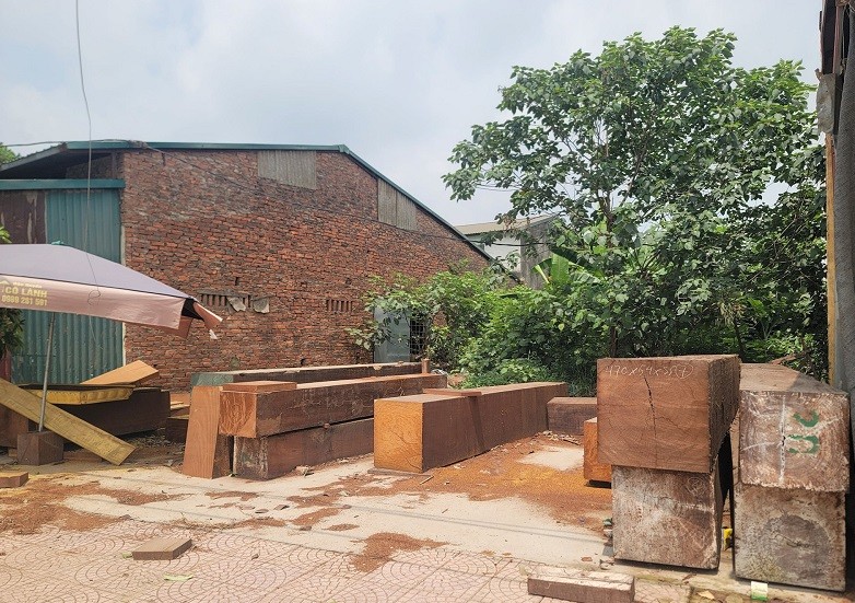 Về làng Sơn Đồng, không khó bắt gặp những cây gỗ kích thước lớn dùng để chế tác tượng và đồ thờ tâm linh. Được biết, loại gỗ được sử dụng để làm tượng chủ yếu là gỗ mít, theo quan niệm trong dân gian đây là loại gỗ thiêng, rất thích hợp cho việc làm các loại đồ thờ cúng. Ngoài ra loại gỗ này có đặc điểm màu vàng tươi, độ bền rất cao, dẻo, mềm, thớ dặm, ít bị nứt, dễ gọt. Về làng Sơn Đồng, không khó bắt gặp những cây gỗ kích thước lớn dùng để chế tác tượng và đồ thờ tâm linh. Được biết, loại gỗ được sử dụng để làm tượng chủ yếu là gỗ mít, theo quan niệm trong dân gian đây là loại gỗ thiêng, rất thích hợp cho việc làm các loại đồ thờ cúng. Ngoài ra loại gỗ này có đặc điểm màu vàng tươi, độ bền rất cao, dẻo, mềm, thớ dặm, ít bị nứt, dễ gọt.