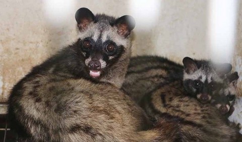 ha tinh nhieu mo hinh kinh te nong nghiep dem lai thu nhap cao cho nguoi dan