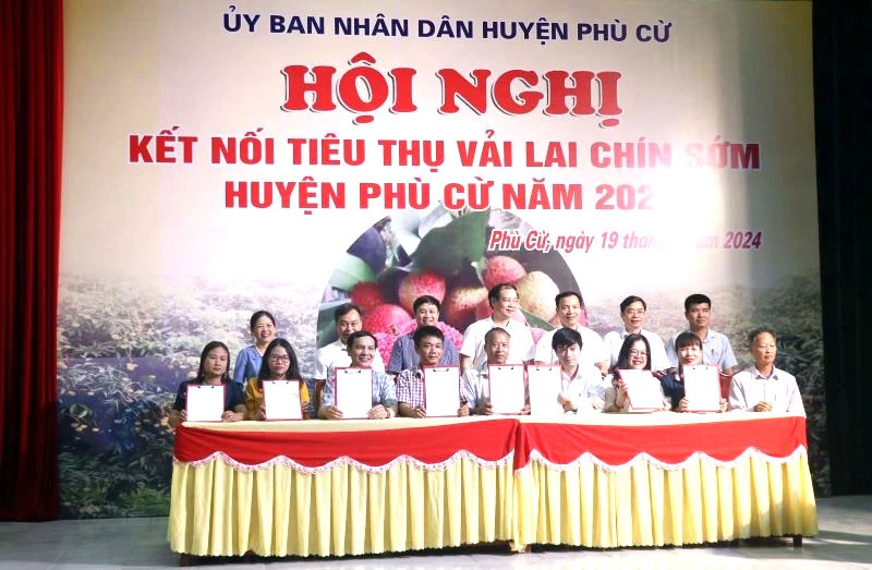 Doanh nghiệp ký kết tiêu thụ vải lai chín sớm Phù Cừ với các hợp tác xã, chủ vườn ở huyện Phù Cừ, tỉnh Hưng Yên Doanh nghiệp ký kết tiêu thụ vải lai chín sớm Phù Cừ với các hợp tác xã, chủ vườn ở huyện Phù Cừ, tỉnh Hưng Yên