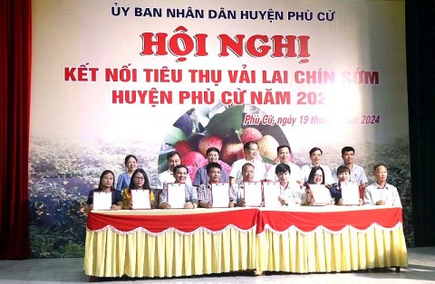 vai lai chin som phu cu duoc mua duoc gia