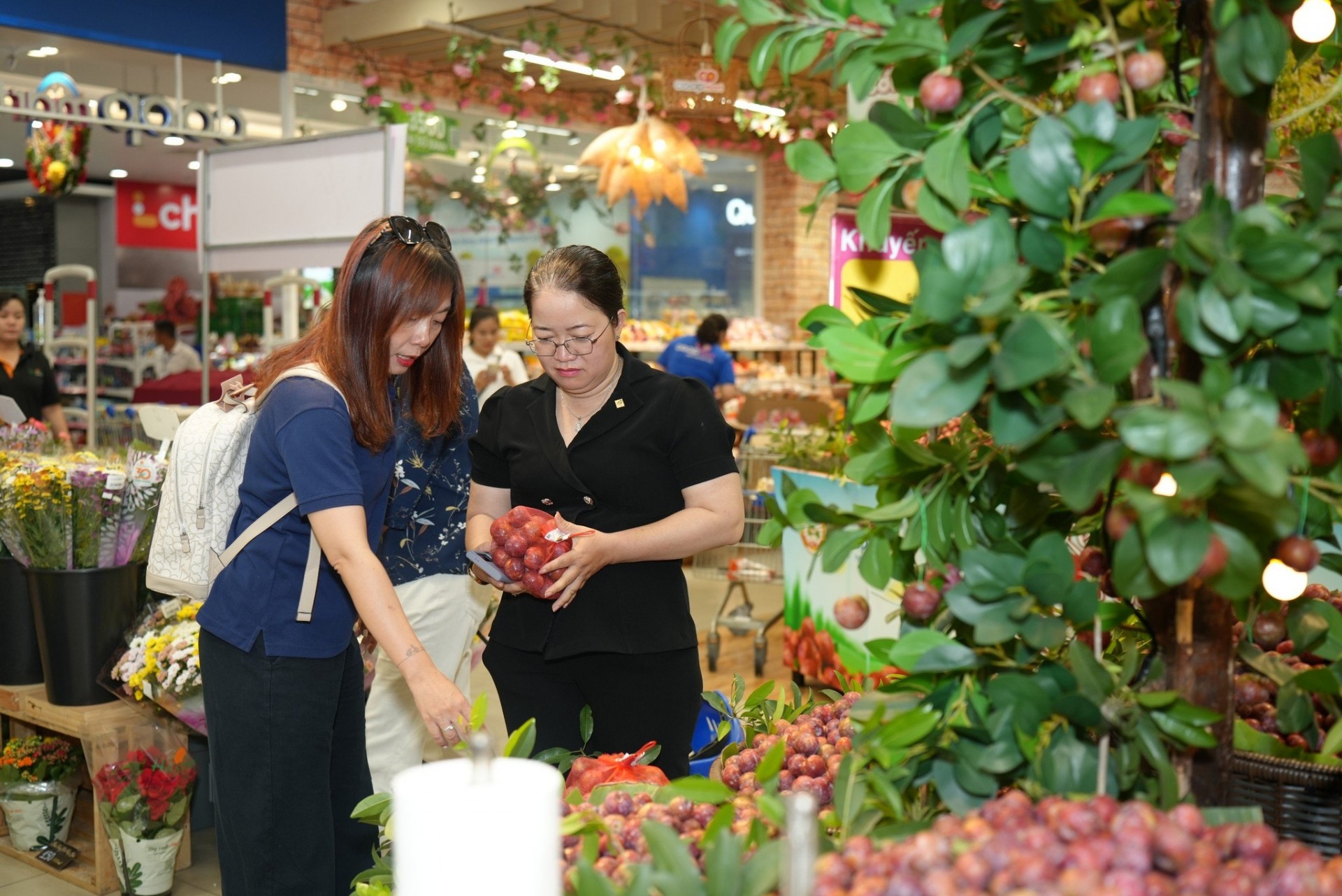 Mận hậu Sơn La hút khách tại Thành phố Hồ Chí Minh Mận hậu Sơn La hút khách tại Thành phố Hồ Chí Minh