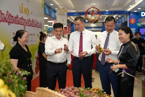 man hau son la hut khach tai thanh pho ho chi minh