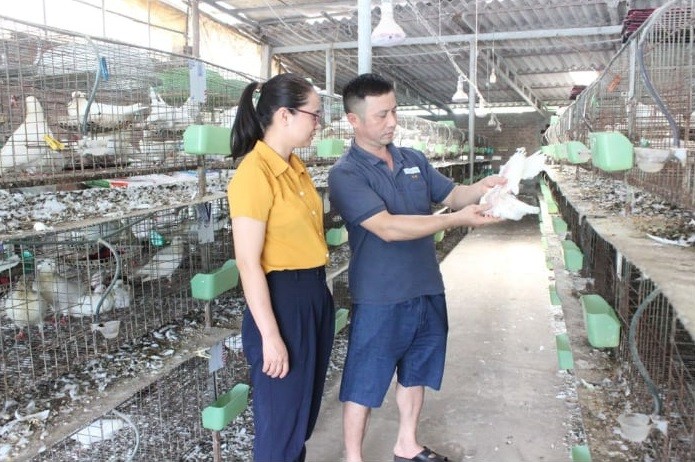 Anh nông dân bỏ túi 300 triệu đồng/năm nhờ nuôi con "chỉ ăn với đẻ"