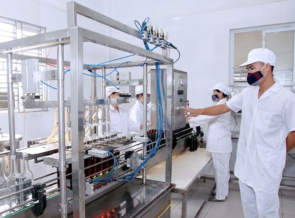 Công đoạn đế làm ra được loại nước mắm ngon trứ danh huyện đảo Cát Bà. 