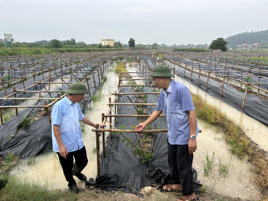 Người nông dân là chủ thể của phong trào xây dựng Nông thôn mới. Người nông dân là chủ thể của phong trào xây dựng Nông thôn mới.