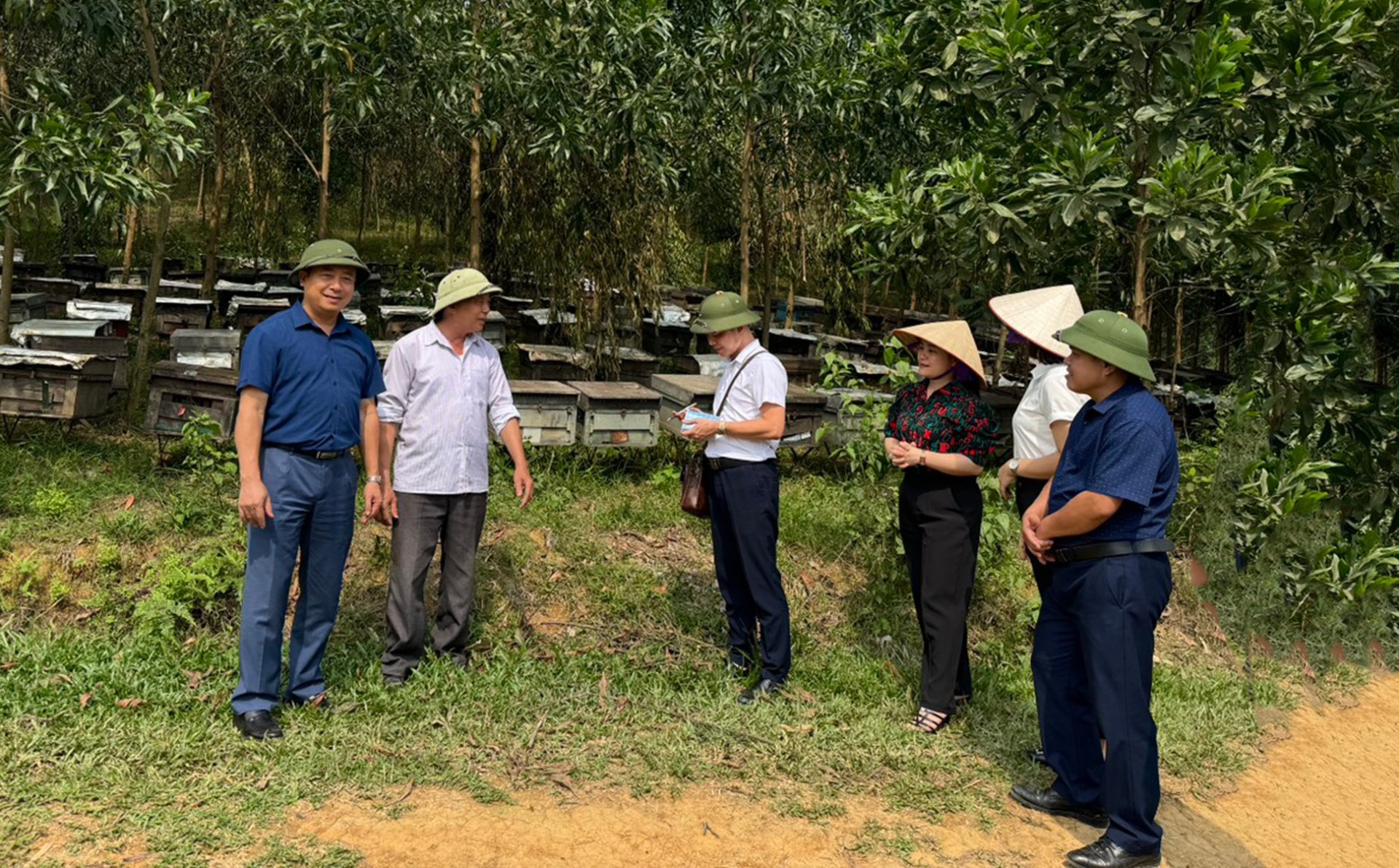 Ngọt ngào hương vị mật ong rừng Mỹ Thuận