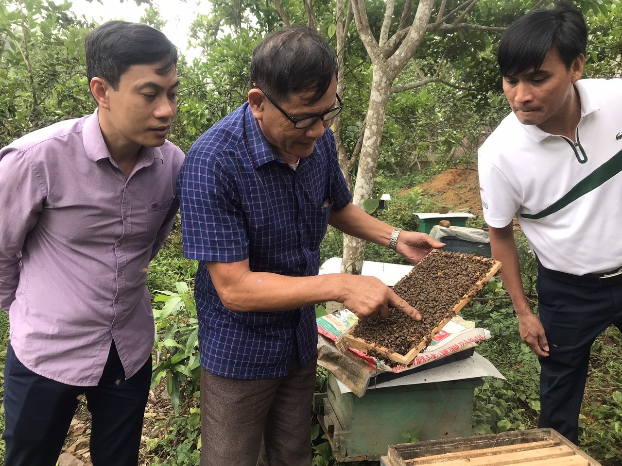 Ngọt ngào hương vị mật ong rừng Mỹ Thuận