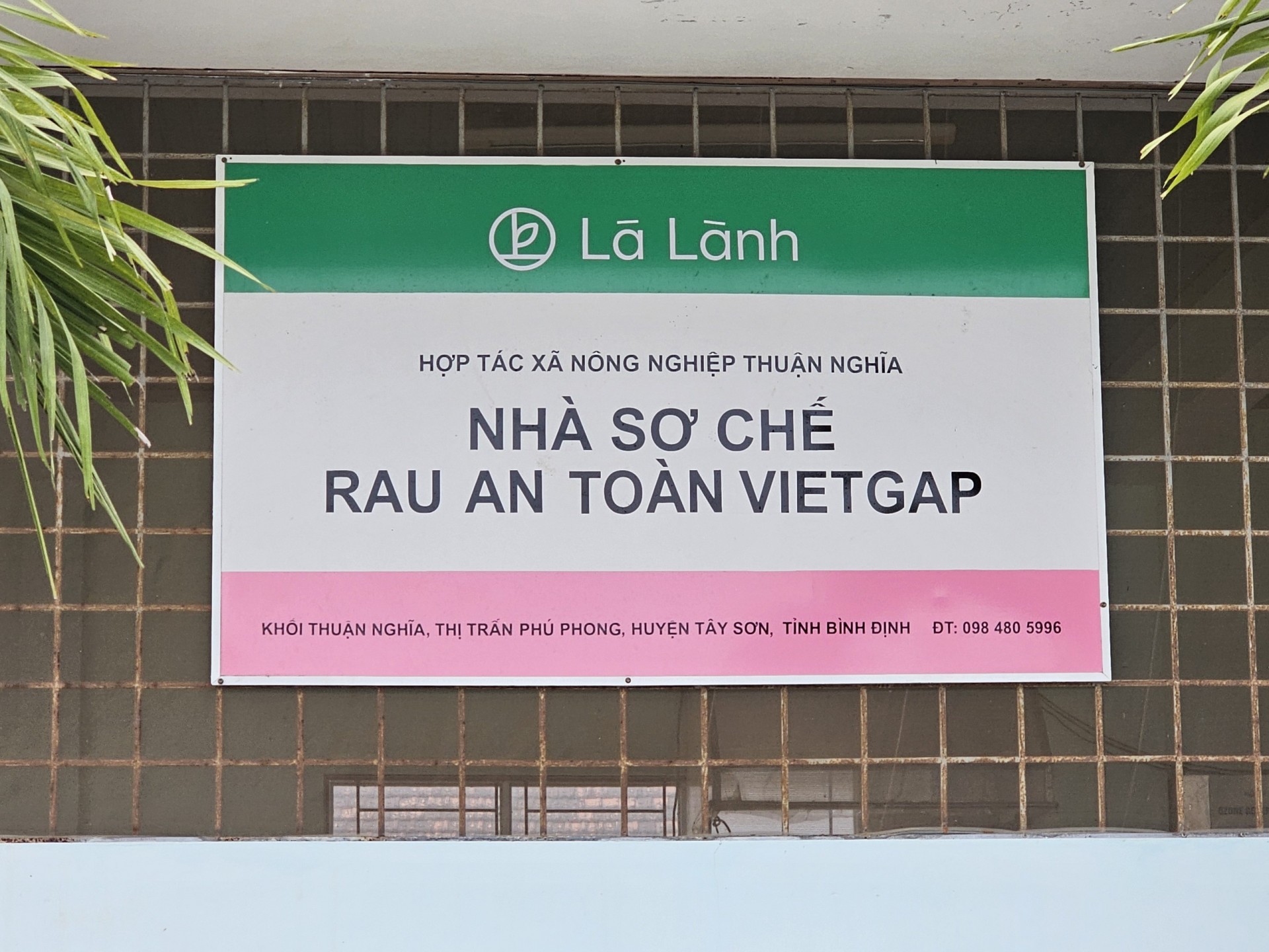 Bình Định Phát triển du lịch cộng đồng tại Làng rau Thuận Nghĩa Bình Định Phát triển du lịch cộng đồng tại Làng rau Thuận Nghĩa
