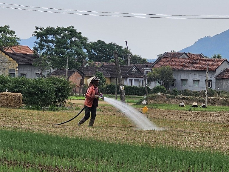 Bình Định Phát triển du lịch cộng đồng tại Làng rau Thuận Nghĩa Bình Định Phát triển du lịch cộng đồng tại Làng rau Thuận Nghĩa