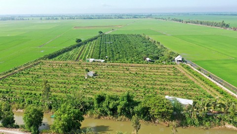 an giang xa vinh an don nhan quyet dinh cong nhan dat chuan xa nong thon moi 2023
