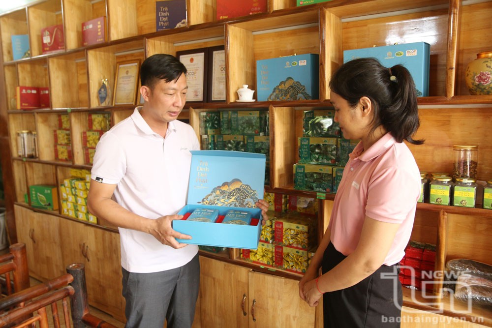 Sản phẩm Trà đinh Đạt Phát của Hợp tác xã chè sạch Đạt Phát (ở xã Vô Tranh, Phú Lương) được chứng nhận OCOP 4 sao. Sản phẩm Trà đinh Đạt Phát của Hợp tác xã chè sạch Đạt Phát (ở xã Vô Tranh, Phú Lương) được chứng nhận OCOP 4 sao.