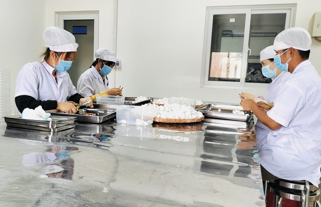 Công ty cổ phần dược liệu công nghệ cao Tây Nguyên: Tây Nguyên PHARMA – Nâng cao sức khoẻ, nâng tầm cuộc sống Công ty cổ phần dược liệu công nghệ cao Tây Nguyên: Tây Nguyên PHARMA – Nâng cao sức khoẻ, nâng tầm cuộc sống