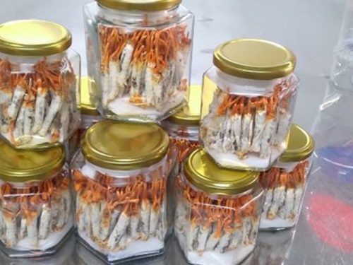 Công ty cổ phần dược liệu công nghệ cao Tây Nguyên: Tây Nguyên PHARMA – Nâng cao sức khoẻ, nâng tầm cuộc sống Công ty cổ phần dược liệu công nghệ cao Tây Nguyên: Tây Nguyên PHARMA – Nâng cao sức khoẻ, nâng tầm cuộc sống