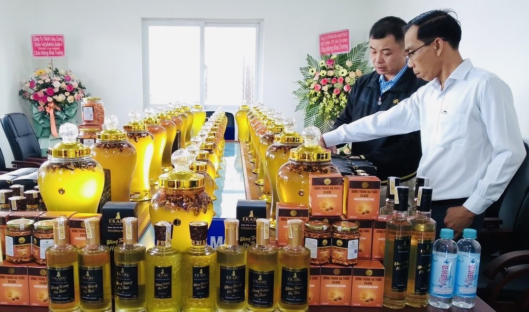 Công ty cổ phần dược liệu công nghệ cao Tây Nguyên: Tây Nguyên PHARMA – Nâng cao sức khoẻ, nâng tầm cuộc sống Công ty cổ phần dược liệu công nghệ cao Tây Nguyên: Tây Nguyên PHARMA – Nâng cao sức khoẻ, nâng tầm cuộc sống