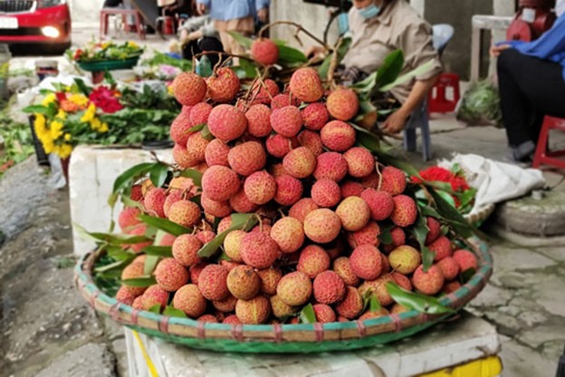 Vải chín sớm Phương Nam vỏ mỏng, trái to, cùi dày, ngọt mát thơm ngon. Vải chín sớm Phương Nam vỏ mỏng, trái to, cùi dày, ngọt mát thơm ngon.